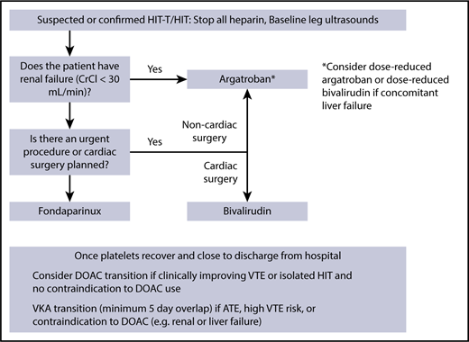 Figure 2. My management approach for suspected or confirmed HIT.