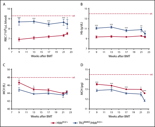 Figure 1. Hematological parameters of Hbbth3/+ mice with BM-specific deletion of Tfr2. The hematological parameters of mice were analyzed monthly from 9 to 22 weeks after transplantation with a thalassemic (Hbbth3/+) or a Tfr2−/−/Hbbth3/+ (Tfr2BMKO/Hbbth3/+) BM. Mice were fed a standard diet. In the figure are graphed: (A) RBC; (B) Hb; (C) MCV; and (D) MCH. Mean values of 6 to 8 animals for genotype are graphed. The dotted red line indicates mean value in wt mice.40 Error bars indicate SE. Asterisks refer to statistically significant differences between age-matched Hbbth3/+ and Tfr2BMKO/Hbbth3/+ mice: *P < .05; **P < .01; ***P < .005.