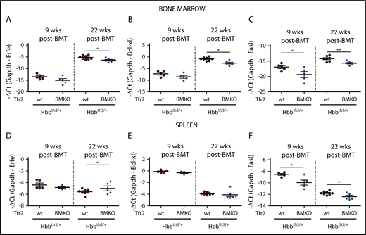 Figure 3. Analysis of EPO target genes in the BM and spleen of Tfr2BMKO /Hbbth3/+ mice. The expression levels of EPO target genes were determined in BM cells (A-C) and spleen samples (D-F) from Hbbth3/+ and Tfr2BMKO/Hbbth3/+ mice 9 and 22 weeks after BMT. In the figure are graphed: messenger RNA (mRNA) expression of ERFE (Erfe, A,D), B-cell lymphoma–extra large (Bcl-xL; B,E), and Fas ligand (Fasl; C,F) relative to glyceraldehyde 3-phosphate dehydrogenase (Gapdh). Bars indicate SE. Asterisks refer to statistically significant differences between age-matched Hbbth3/+ and Tfr2BMKO/Hbbth3/+ mice: *P < .05; **P < .01. Ct, cycle threshold.