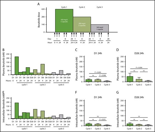 Figure 1. Ibrutinib protocol design and PK and PD at 3 doses of ibrutinib. (A) Clinical protocol design for the systematic reduction of ibrutinib dosing in patients with CLL over the course of three 28-day cycles, from 420 to 280 mg/d and then to 140 mg/d. Peripheral blood samples were collected from each patient at the indicated times (arrows). (B-G) Plasma and cellular pharmacology of ibrutinib over the course of 3 cycles of treatment with ibrutinib at 420 mg/d (green), 280 mg/d (light green) and 140 mg/d (gray). (B) Ibrutinib plasma levels in a representative patient with CLL (patient 2) over the course of 3 cycles of treatment. (C-D) Mean plasma ibrutinib levels (n = 8) on (C) D1 24 hours and (D) D28 24 hours. (E) Intracellular ibrutinib levels in a representative patient with CLL (patient 2) over the course of 3 cycles of treatment. Mean intracellular ibrutinib level (n = 6) on (F) D1 24 hours, (G) D28 24 hours, as measured by high-performance liquid chromatography-MS. Error bars represent standard errors of the mean (SEMs). Paired comparisons were performed using 2-sided Wilcoxon signed rank test. ns, not significant.