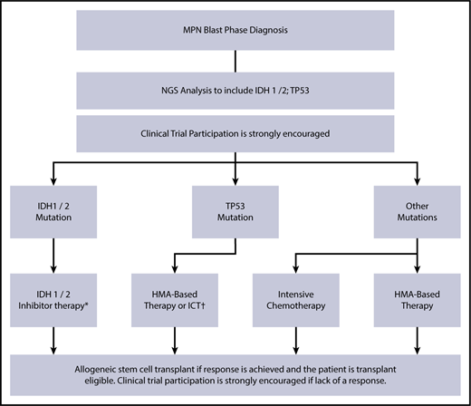 Figure 3. How I treat Ph−MPN-BP. My approach to the treatment of MPN-BP is summarized. The accompanying text in Box 1 outlines in greater detail the treatment algorithm illustrated here. *The promise of IDH1/2 inhibitor–based therapy is not yet validated in MPN-BP and is recommended in the context of clinical trial participation. †HMA-based therapy has not been validated as superior to intensive chemotherapy (ICT) in TP53-mutated cases, and the choice of 1 over the other must be based on the individual case.