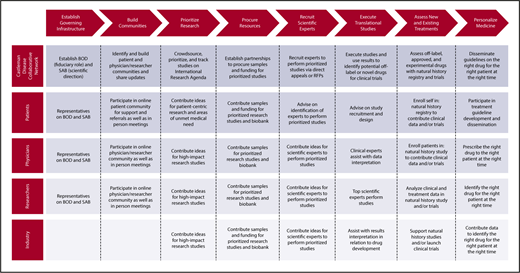 Figure 3. The Collaborative Network Approach being used to advance research for iMCD. The Castleman Disease Collaborative Network, patients, physicians, researchers, and industry are taking a systematic approach to advance CD research that may be repeatable by other disease fields. BOD, board of directors; RFP, request for proposals; SAB, scientific advisory board.