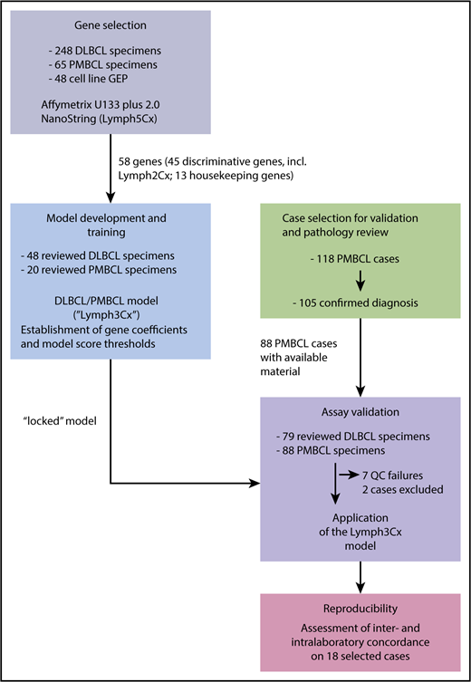 Figure 1. Schematic overview of the study design. For details on clinical characteristics and pathological features of the cases refer to supplemental Tables 1 and 2. QC, quality control.