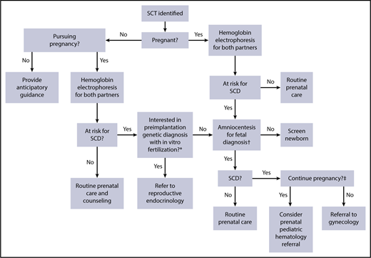 Figure 1. Reproductive decision-making tree for SCT carriers and their physicians. Each branch in this decision tree is contingent on test or procedural availability and accessibility, and decisions are contingent on patient preferences and values. *Preimplantation genetic diagnosis may not be available because of patient location and prohibitive cost. †Chorionic villus sampling or amniocentesis for fetal diagnosis is performed as early as 11 weeks of gestation and offered through week 20; results from this testing may take 1 to 2 weeks to return. ‡Decisions to terminate pregnancy may be affected by insurance and legal restrictions.