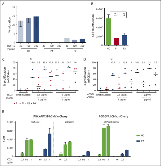 Figure 4. Impaired migration and proliferation of peripheral blood lymphocytes. (A) Percentage of migrated freshly isolated lymphocytes after 3 hours of stimulation with increasing concentrations of SDF1-α in P1 and P2 as compared with HC (n = 6). Mean ± SEM. (B) Spontaneous migration in P1 (red bar), P2 (blue bar), and HC (n = 6; green bar). Mean ± SEM. (C-D) Percentage of proliferation determined by cell trace dilution in CD4+ and CD8+ T cells for HC (blue, n = 3) and patients P1, P2, and P6 with anti-CD3 alone or in combination with anti-CD28. Median (bar) and patients’ symbols are indicated. Stimulation index: ratio between stimulated and unstimulated cells. (E) Restoration of proliferation in transduced PHA T-cell blasts of P2 and a HC. T cells were stimulated with increasing doses of plate-bound anti-CD3. Graph summarizes the proliferation of T cells sorted according to mCherry or GFP expression. Vectors used for transduction are indicated. Mean ± SEM. cpm, counts per minute.