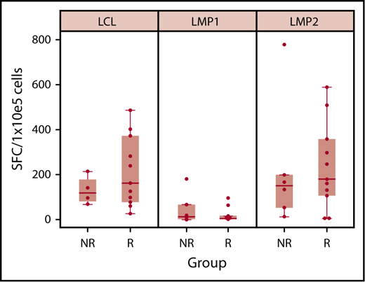 Figure 4. LMP-specific activity of LMP-T products. Responders (Rs) received LMP-T products with slightly higher LMP2-specific and EBV activity (as demonstrated by using LCLs as stimulators in interferon-γ enzyme-linked immunospot assays, which may overlap with LMP1 and/or 2 responses) compared with nonresponders (NRs).