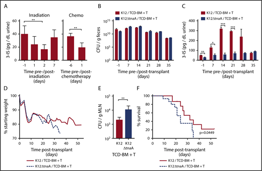 Figure 1. Microbiome-derived indoles mitigate morbidity and mortality in a mouse model of GVHD. (A) Left panel: Changes in urinary 3-IS before (day −1) and after (day 1, 2, 7) lethal TBI at 11 Gy (2 × 5.5 Gy) without subsequent BMT (combined data from 2 experiments, n = 10, sampled at multiple time points). Right panel: 3-IS before (day −6) and 1 day after (day 1) completion of 6-day chemo regimen with busulfan (80 mg/kg total) and cyclophosphamide (200 mg/kg total), without subsequent BMT. Combined data from 2 experiments, n = 10, sampled at multiple time points. (B-F) B10.BR recipient mice were treated with streptomycin and then colonized with streptomycin and nalidixic acid resistant K12 or K12ΔTnaA E coli 1 week prior to lethal irradiation and allo-BMT with TCD-BM + T cells from C57Bl/6 donor mice. Various parameters were tracked before irradiation/allo-BMT (day −1) and then weekly for 5 weeks following transplant. Single experiment with n = 15 per condition and 5 mice censored per condition on day 21 for various assays. (B) Colonization as measured by colony-forming unit (CFU)/g of bacteria in feces assessed on E coli selective plates containing streptomycin and nalidixic acid (n = 15 per condition). (C) 3-IS levels in urine (n = 15 per condition). (D) Weight loss. (E) Bacterial translocation to MLN (day 21, n = 5 per condition). (F) Kaplan-Meier survival curve with ticks indicating mice censored on day 21. Statistics: Mantel Cox Log-rank (survival curve), Mann-Whitney or Kruskal-Wallis ANOVA. ****P < .0001; ***P = .0001 to .001; **P = .001 to .01; *P = .01 to .05.