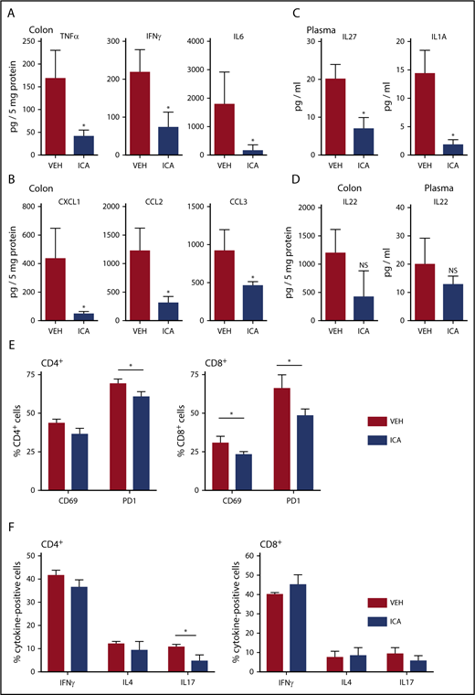 Figure 3. ICA decreases GVHD-associated inflammatory cytokines in allo-BMT recipients. (A-F) Lethally irradiated B10.BR recipients were transplanted with TCD-BM in combination with purified T cells from C57Bl/6 mice to induce GVHD. Mice received daily oral gavage of 150 mg/kg ICA. Samples were collected at day 21 posttransplant (n = 5 mice per condition, assayed in triplicate). Representative data from 1 of 3 experimental repeats. Cytokines (A) and chemokines (B) significantly altered in colon homogenates in mice transplanted with T-cell-depleted BM + T and following treatment with ICA (day 21). (C) Cytokines significantly altered in plasma in mice transplanted with T-cell-depleted BM + T and following treatment with ICA (day 21). (D) IL-22 in colon (left) and plasma (right) in mice transplanted with T-cell-depleted BM + T and following treatment with ICA (day 21). (E) Percentages of CD69 and PD1 positive CD4 donor T cells (left) or CD8 donor T cells (right) in mice treated with ICA or VEH. (F) Percentages of cytokine expressing CD4 donor T cells (left) or CD8 donor T cells (right) in mice treated with ICA or VEH. Statistics: Mann-Whitney rank sum. Error bars represent standard deviations. *P = .01 to .05; NS, not significant. Mantel Cox log-rank (survival curve).