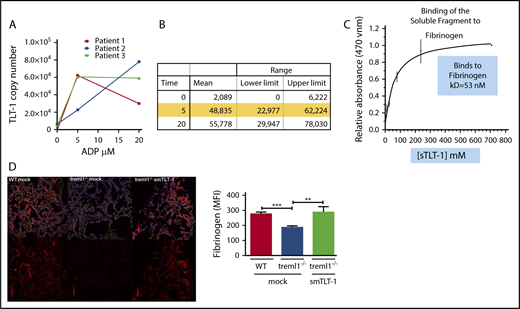 Figure 5. TLT-1 copy number and interaction with fibrinogen. (A) Measurement of TLT-1 copy number on resting and ADP-activated platelets (n = 3). (B) Quantification of panel A. (C) Plate bound binding curve of sTLT-1 interaction with fibrinogen predicting a Kd of 53 nM. (D) Confocal images of fibrinogen staining in the lung 24 hours after intranasal LPS treatment. Lungs from WT, treml1−/−, or treml1−/− mice treated with sTLT-1 were stained with fibrinogen (red) and 4′,6-diamidino-2-phenylindole (blue), demonstrating that sTLT-1 increases fibrinogen deposition in the lung. Side panel: quantification of the staining on the left (n = 5 mice per group, 5 slides per lung; **P ≤ .01, ***P ≤ .001). The red line equals 100 μM.