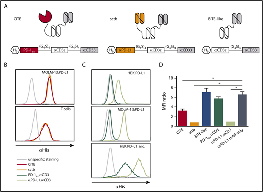Figure 1. Schematic drawing and binding characteristics of CiTE, sctb, and control molecules. (A) Modular composition of CiTE, sctb, and BiTE-like molecule. (B) Binding analysis of CiTE and sctb to MOLM-13:PD-L1 cells and HD T cells at 15 ng/µL concentration by flow cytometry. (C) Binding analysis of PD-1ex (in PD-1ex.αCD3) and αPD-L1 scFv (in αPD-L1.αCD3) to HEK:PD-L1, MOLM-13:PD-L1, and HEK:PD-L1_ind. cells at 1.5 ng/µL concentration. Gray line indicates unspecific staining by the secondary antibody. Histograms show 1 of 3 experiments with similar results. (D) Binding of αPD-L1 mAB (clone MIH1) to MOLM-13:PD-L1 cells in the presence or absence of CiTE, sctb, or controls at 150 nM concentration as measured by flow cytometry. Mean values show n = 3 independent experiments with standard error of the mean (SEM) as error bars. For statistical analysis, unpaired Student t test with Welch correction was applied. *P < .05, **P < .01, ***P < .001. MFI, mean fluorescence intensity.