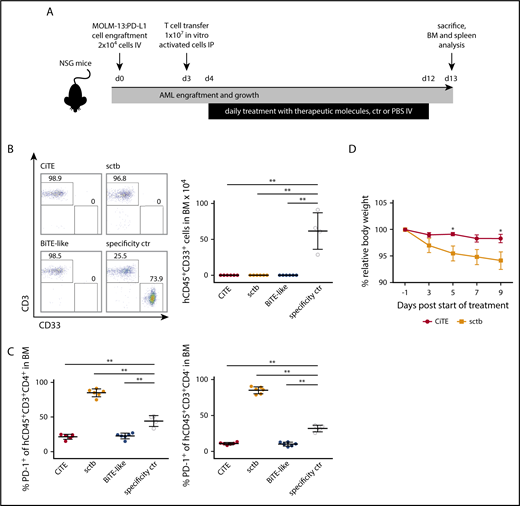 Figure 6. CiTE leads to eradication of AML cells in a murine NSG xenograft model without indication of enhanced PD-1 upregulation or body weight loss. (A) Experimental design of mouse studies. (B) Remaining engrafted MOLM-13:PD-L1 (live hCD45+CD33+) cells in BM of exemplary mice per cohort (left) and as mean (right) after 13 days. (C) PD-1 upregulation on human CD45+CD3+CD4+ and CD45+CD3+CD4− T cells. (D) Relative body weight of mice as scored during treatment with CiTE and sctb. Cohorts contained 4 to 6 mice. Error bars in (B-C) indicate standard deviation, in (D) SEM. For statistical analysis, Mann-Whitney U test was applied. *P < .05, **P < .01, ***P < .001. IP, intraperitoneally.