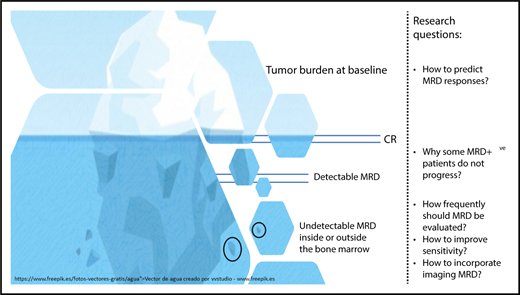 Tumor burden in MM before and after therapy is illustrated here by an iceberg. The achievement of complete remission (CR) is represented by the disappearance of measurable disease above the surface. Below the surface, MRD detected by sensitive methods is clinically relevant because it increases the probability of disease progression. Despite having a risk that is significantly lower, patients with undetectable MRD continue to be at risk of disease progression, which underlies the fact that chemotherapy-resistant MM cells persist either inside or outside the bone marrow. Thus, several research questions (enumerated in the rightmost portion of the figure) remain to be addressed.