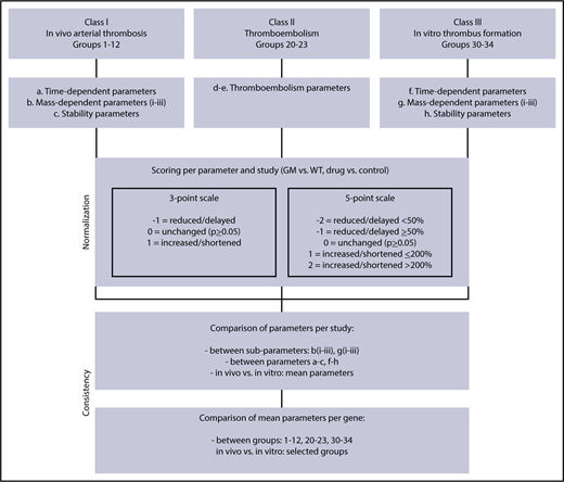Figure 1. Flowchart for scaling of parameters of arterial thrombosis and thromboembolism. Scored were studies of in vivo arterial thrombus formation (class I), thromboembolism (class II), and in vitro thrombus formation (class III) for mice with a genetic modification (GM) or pharmacological treatment, in comparison with wild type (WT) or the control condition. Indicated are scaling rules (scores) for the various output parameters on 3- and 5-point scales (values for WT set at 100%). For detailed description of groups and scoring procedures, see supplemental Table 2.