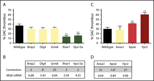 Figure 6. Role of 8 novel mouse genes in arterial thrombus formation, based on PITH network. Mice with homozygous deficiency in indicated genes were tested for arterial thrombus formation (class III). Data represent surface area coverage (SAC) of platelet thrombi on collagen. (A-B) Testing of 5 genes/proteins selected from the PITH network with suspected thrombosis phenotype. Mean plus or minus standard error (SE; n = 6-17); **P < .01. (C-D) Testing of 3 genes/proteins identified from PITH with suspected gain-of-function defect related to atherothrombosis. Mean plus or minus SE (n = 6-18); **P < .01. (B,D) Connecting edges in PITH network, and relative mRNA expression in human megakaryocytes (log2 scale). MGK, megakaryocyte.