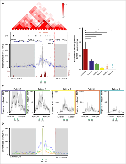 Figure 1. 3D chromatin structure of the PU.1 locus. (A) Genome browser representation showing the Hi-C interaction profile in 72-hour PMA-differentiated THP-1 cells23 within a 220-kb TAD (chromosome 11: 47 280 000-47 500 000, hg19) containing the PU.1 locus in 10 kb resolution and at the indicated intensity range (top). Visible is the SubTAD structure (dark red triangles). Narrow peak representation of CTCF ChIP-seq data from 72-hour PMA-treated THP-1 cells (GSM2544246) (upper middle). The UCSC gene track is shown below. Interpolated 4C-seq near-cis interaction profile of the PU.1 promoter (VP) in human monocytes (gray dashed line), normalized to reads per million (lower middle). The PU.1 SubTAD is white, and other SubTADs are gray. The plot is representative of 2 biological repeats. UCSC browser view of H3K27ac ChIP-seq track from human monocytes (Gene Expression Omnibus sample accession number GSM1003559) (bottom). Green arrowheads represent position of the PU.1 promoter and the −17-kb URE. Red dashed lines mark the boundaries of the PU.1 SubTAD (chromosome 11: 47 375 000-47 450 000, hg19). (B) Real-time PCR showing PU.1 mRNA expression in healthy monocytes and blast cells isolated from 5 different FAB M5 AML patients. All values are relative to those of GAPDH used as internal control. *P < .05; **P < .01; ***P < .0002 (significantly different variances calculated by the F test, shown in reference to monocytes). Mean and standard error of mean are represented. (C) PU.1 promoter VP 4C-seq profiles within the PU.1 SubTAD boundaries of blast cells from the AML patients indicated in panel B using the same color coding. In all 4C-seq profiles of (A,C), black dots represent running medians of fragment reads, normalized to reads per million, interpolated with a locally estimated scatterplot smoothing (LOESS)–smoothed blue line and gray shading of 20 and 80% quantiles. (D) Running mean near-cis 4C-seq profile overlay visualization with the PU.1 promoter VP (gray dashed line) of the same AML patients shown in panel C with the same color coding. The shown trend lines represent LOESS-smoothed unmasked fragment reads. Red dashed lines mark the boundaries of the PU.1 SubTAD (white area). Green arrowheads at the bottom represent the position of the PU.1 proximal promoter and the URE. chr, chromosome; PP, proximal promoter; RPM, reads per million.