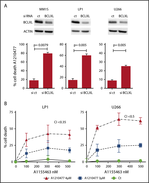 Figure 5. BCLXL is the major factor that limits MM cell death to the pharmacological inhibition of MCL1. (A) After transfection with scramble or BCLXL-specific siRNA, MM1S, LP1, and U266 HMCLs were treated with A1210477 (5 μM) for 24 hours, cell death was assessed by Annexin V staining and the induction of apoptosis was compared with the non-treated controls. Results represent the mean ± SD of 5 independent experiments. Statistical analysis was performed using Student t-Test. (B) Combination of A1210477 and A1155463 overcomes A1210477 resistance in LP1 and U266 HMCLs. LP1 and U266 HMCLs were treated with combination of low doses of both A1210477 (3 and 4 μM) and A1155463 (100, 300 and 500 nM). All data points represent the mean of triplicate experiments ± SD. Combination index (CI) was calculated using CalcuSyn software.