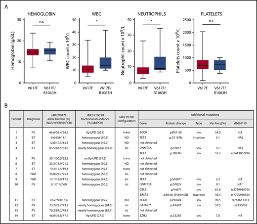 Figure 1. Clinical characteristics, JAK2 analysis, and next-generation sequencing (NGS) screening for MPN patients exhibiting JAK2 V617F and JAK2 R1063H mutations. (A) Hematological data for JAK2 V617F MPN patients (n = 390) subdivided according to the JAK2 R1063H mutation status. Data for V617F only (n = 376) and for V617F/R1063H double-mutation carriers (n = 14) were recorded at diagnosis. For further information, see supplemental Material and methods and supplemental Table 1. The boxes represent the 25% to 75% interquartile range, horizontal lines within the boxes indicate medians, and vertical bars show the range of values (minimum to maximum). P values < .05 were considered statistically significant. *P < .05, Mann-Whitney U test. (B) JAK2 V617F allele burden, JAK2 R1063H fractional abundance, JAK2 V617F/R1063H mutations configuration, and additional mutations identified by targeted NGS. Third column: JAK2 V617F allele frequency obtained from the NGS study and compared with allele burden determined via quantitative PCR and ddPCR assay. Fourth column: JAK2 R1063H fractional abundance was determined using ddPCR in whole-blood samples collected at the time of diagnosis (see supplemental Material and methods for details). The JAK2 R1063H mutation was considered genuine germline only when the fractional abundance of the JAK2 R1063H variant was 50% (± 1.0%). Therefore, 8 patients are confirmed to be heterozygous germline carriers for the JAK2 R1063H variant. JAK2 R1063H in 3 samples with a percentage frequency of the mutant DNA between 20.7% and 31.5% (samples 1, 5, and 14) could be considered an acquired somatic mutation or an inherited variant that was partially lost due to UPD of the V617F–non-R1063H clone. Samples 4, 12, and 13 were nearly homozygous for JAK2 R1063H, and the presence of minor fraction of the WT allele excluded germline homozygosity. See also supplemental Figure 2. Fifth column: Cis/trans JAK2 V617F/R1063H mutations configuration was determined through sequencing of subcloned reverse-transcriptase PCR products spanning exons 14 through 24 of the JAK2 gene (see supplemental Material and methods for details). Sixth column: TruSight Myeloid Sequencing Panel (Illumina, San Diego, CA) was used for targeted mutational screening of JAK2 R1063H+ patients. Additional mutations were identified in 8 of 14 screened patients. A total of 11 variants was detected in 7 genes. #Five of these mutations are indexed in the Single Nucleotide Polymorphism database (dbSNP), and 4 of these specific variants are listed in the COSMIC catalog. One additional mutation in DNMT3A was published recently.14 §Two other mutations (frameshift in TET2 and premature stop codon in DNMT3A) do not have SNP/COSMIC IDs but are documented in the VarSome genomic variant database. **The GATA2 (A164T) allele (patient 12) was recently detected in a higher-than-expected frequency in myelodysplastic syndrome, suggesting a possible predisposing function in myeloid malignancies.15 Two patients harbor unique undescribed variants: patient 1 in BCOR and patient 9 in TET2. The BCOR variants were identified in 2 patients (both are missense mutations); their variant frequency was 54% for patient 1 and 99.5% for patient 11. They could be germline variants; both were estimated to be “damaging” or “probably damaging” by 2 algorithms (Sift, PolyPhen). *Indicates translation termination (stop) codon. All mutations were identified in DNA collected at the time of diagnosis; acquisition of additional mutations during disease evolution was not performed. For further information see supplemental Table 2. NA, not available; ND, not done; n.s., not significant; PMF, primary myelofibrosis; qPCR, quantitative PCR; snv, single nucleotide variant; Var Freq, variant allele frequency.