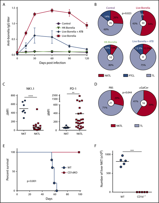 Figure 2. NKTL is driven by chronic TCR activation. (A) Borrelia induces chronic infection in p53−/− mice. Kinetics of anti-Borrelia IgG titer in p53−/− mice sera by enzyme-linked immunosorbent assay. Mice (n = 8-10 per group) were injected intradermally with control medium, heat-killed (HK) Borrelia, or live Borrelia, treated (blue line) or not (red line) with ceftriaxone (antibiotics; ATB) at 25 mg/kg, twice a day for 5 days, starting 10 days postinfection, to eradicate the bacteria after short-term infection. Data are mean ± SEM. P = .031 for kinetics between live Borrelia and live Borrelia + ATB, Kruskal-Wallis test. (B) Chronic infection is required to increase NKTL frequency. Lymphoma spectrum developed in p53−/− mice injected with control medium, live Borrelia, HK Borrelia, or live Borrelia + ATB. Only live Borrelia injection induced significantly more NKTL compared with control mice (P = .023, χ2 test). Of note, the number of tumors exceeded the total number of mice because some animals had several tumors (ie, a solid tumor and a lymphoma). Values in the center refer to the total numbers of lymphomas. (C) NKTL show features of chronically activated NKT cells. Flow cytometric analyses of NK1.1 and PD-1 expression on NKTL, showing a significant loss of NK1.1 (****P < .0001) and overexpression of PD-1 (**P = .002), Mann-Whitney U test. (D) NKT-activating glycolipids drive NKTL. Lymphoma spectra developed in PBS- and αGalCer-injected p53−/− mice. Mice were injected intraperitoneally every week with PBS or 4 µg of αGalCer. αGalCer injection induced significantly more NKTL compared with PBS. The P value was determined using the χ2 test. (E) NKTL depend on TCR-CD1d interaction for engraftment and survival in vivo. Survival curves of WT and CD1d−/− mice (n = 5) injected IV with 106 NKTL cells, showing the absence of lymphoma development in CD1d−/− recipient mice. All mice alive 100 days postinfection were euthanized. The P value was determined using the log-rank test. (F) Number of total liver NKT cells at sacrifice. ***P =.008, Mann-Whitney U test. TL, thymic lymphomas.