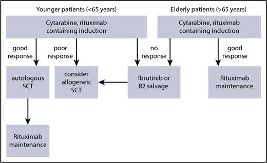 Figure 3. Suggested therapeutic algorithm in high-risk MCL (blastoid, Ki-67 > 30%, Tp53 mutation).