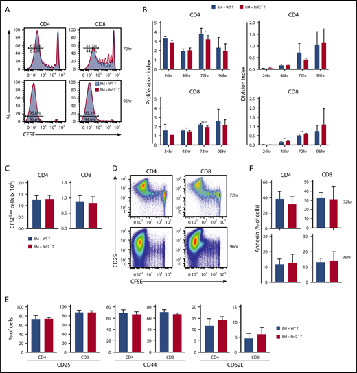 Figure 4. Nrf2−/− donor T cells display intact proliferation, activation, and apoptosis during the early phase of alloreactivity. Lethally irradiated BALB/c recipients received 5 × 106 CFSE-labeled B6 WT or Nrf2−/− T cells. Recipient spleens were analyzed by flow cytometry for CFSE dilution at the indicated time points. (A) Concatenated CFSE line graphs showing the percentages of CFSElow WT and Nrf2−/− donor T cells, gated on H-2Kb+ events. (B) Proliferation and division indices of WT and Nrf2−/− donor T cells. (C) Total numbers of CFSElow WT and Nrf2−/− donor T cells. (D) Representative flow cytometric analysis showing upregulation of the activation marker CD25 in the CFSElow population on WT donor T cells. Expression of activation markers at 96 hours (E) and apoptotic marker (F) on WT and Nrf2−/− donor T cells, gated on H2-Kb+CFSElow populations. Data represent the mean + standard deviation combined from 2 or 3 independent experiments (n ≥ 10 per group). *P < .05, **P < .01, ****P < .0001.