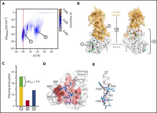 Figure 3. Results of MD simulations of free diffusion of AX. (A) Relative frequencies of ligand pose (see color scale) as a function of the relative distance between the center of mass of AX and helix H4 (ΔD) and computed effective energies of binding (ΔGeffective). (B) Locations of the center of mass of AX (spheres) after 60 MD simulations of 400 nanosecond length each, with each simulation result colored differently. The black dashed line highlights all conformations that are bound to dimerization interface 1 with ΔDmin ≤ 0 Å, and the green dashed line highlights those with ΔDmin < 4 Å. The protein structure is shown as surface representation with the middle domain (not present during MD simulations) in orange and the CTD in white. In the panel, the structure is rotated by 180° around the y-axis. (C) Frequency of occupation of binding sites 1 (yellow), close to 1 (green; see definition in the main text), 2 (red), or 3 (blue) by AX across 60 MD simulations. (D) Binding mode model of AX. A representative conformation of AX bound to the CTD, extracted from the MD trajectory. Residues I688, I692, and M691 (gray spheres) bind to the side chain that distinguishes AX from 2. (E) An overlay of AX onto helix H5′ (Figure 1B-C) extracted from the crystal structure (PDB accession number 3Q6M57). In panels D and E, AX is depicted as blue sticks; hot spot amino acids I688, Y689, I692, and L69634 as gray sticks with Cβ atoms as magenta spheres; helix H5′ as a white cartoon with black backbone atoms; and the CTD in the left panel as surface representation, with all residues within 3 Å of AX colored in red. In panels A-C, 1, 2, and 3 denote the binding sites of AX, where 3 represents all binding sites besides 1 and 2.