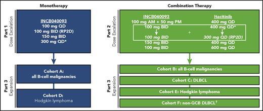 Figure 1. Study design. *Reduced to INCB040093 100 mg twice daily (BID) and itacitinib 300 mg once daily (QD) in expansion cohorts based on safety data beyond the DLT observation period (represents RP2D for the combination). †As confirmed by immunohistochemistry.40 GCB, germinal center B-cell-like; RP2D, recommended phase 2 dose.