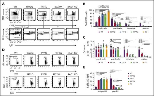 Figure 2. Bone marrow B-cell development in Rag1-mutant mice. (A) Gating strategy for pro-B cells (B220loIgM−CD43+), pre-B cells (B220loIgM−CD43−), immature B cells (B220loIgM+CD43−), and mature recirculating (B220hiIgM+CD43−) cells, shown as percentages of total B220+ cells (B) and absolute numbers (n = 6) (C) for WT, hypomorphic mutant, and KO mice. Gating strategy for pro-pre-BI stage (B220loc-kit+) and pre-BII stage (B220loCD25+) (D) and percentage of these cells among B220+IgM− B-cell precursors (n = 3) (E). Error bars represent standard error of the mean. (B-C,E) One-way analysis of variance: *P ≤ .05, **P ≤ .01, ***P ≤ .001, ****P ≤ .0001.