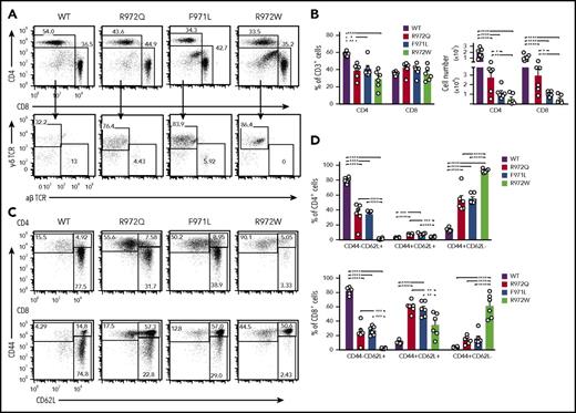 Figure 3. Distribution and phenotype of splenic T-cell subsets in Rag1-mutant mice. (A) Representative example of CD4+ and CD8+ T cells (top) and of CD4−CD8− cells expressing the γδ form of the TCR (bottom) among splenic CD3+ cells. Percentages (among CD3+ cells) (B) and absolute count of CD4+ and CD8+ cells (C). (C) Gating strategy for naïve (CD62L+CD44−), central memory (CD44+CD62L+), and effector memory T cells (CD44+CD62L−) among CD4+ (top) and CD8+ (bottom) T cells. (D) Distribution of naïve, central memory, and effector memory T cells among total splenic CD4+ (top) and CD8+ (bottom) cells (n = 6 per group). Error bars represent standard error of the mean. (B,D) One-way analysis of variance: *P ≤ .05, **P ≤ .01, ***P ≤ .001, ****P ≤ .0001.