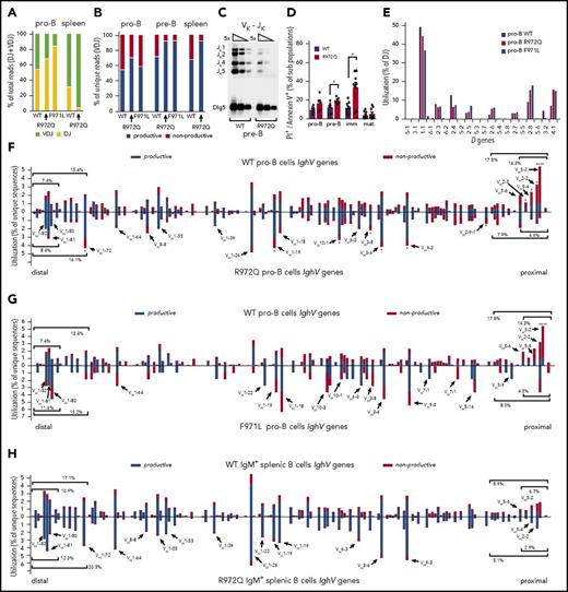 Figure 6. Abnormalities of Igh repertoire in Rag1-mutant mice. (A) Bar graph of Igh VDJ (green) and DJ (yellow) rearrangements as a percentage of total rearrangements recovered in pro-B cells and IgM+ splenocytes. (B) Bar graph of productive (blue) vs nonproductive (red) reads of total unique Igh VDJ rearrangements in pro-B cells, pre-B cells, and IgM+ splenic B cells. (C) Fivefold dilution of input DNA was polymerase chain reaction amplified for Vκ-Jκ LC rearrangements in pre-B cells with loading control (Dlg5). (D) Apoptotic B cells through development were analyzed by flow cytometry using PI and annexin. (E) Frequency of D gene utilization of Igh DJ rearrangements in pro-B cells. (F) Frequency of V gene utilization in unique Igh VDJ rearrangements in pro-B cells. Top shows WT mice; bottom shows R972Q mice. (G) Frequency of V gene utilization in unique Igh VDJ rearrangements in pro-B cells. Top shows WT mice (data as in panel F); bottom shows F971L mice. (H) Utilization of V genes in unique Igh VDJ rearrangements in splenic IgM+ B cells. Top shows WT mice; bottom shows R972Q mice. Mann-Whitney U test (D) and χ2 test (comparing individual V gene usage) (F-G): *P ≤ .05, ****P ≤ .0001. imm, immature; mat, mature.