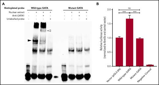 Figure 2. Functional assays indicate that the XG upstream GATA motif binds GATA1 and can enhance transcription. (A) Electrophoretic mobility shift assays were performed with 35-bp biotinylated probes spanning the rs311103 SNP. Only the wild-type probe exhibited a shift (black arrowhead) upon incubation with nuclear extract from K562 cells and a further supershift (white arrowhead) with addition of anti-GATA1, highlighting its affinity for GATA1. Preincubation with 200-fold unlabeled probes abolished the mobility shifts, indicating specificity. The figure is representative of 3 independent experiments. (B) HEL cells were transfected with plasmids carrying the wild-type or mutant XG GATA sequence and a luciferase gene driven by the ABO promoter (n = 9). The relative luciferase activity obtained with the pGL3-SN vector was used as reference and normalized to 1. Data represent mean values; error bars indicate standard errors of the mean. ***P < .001.