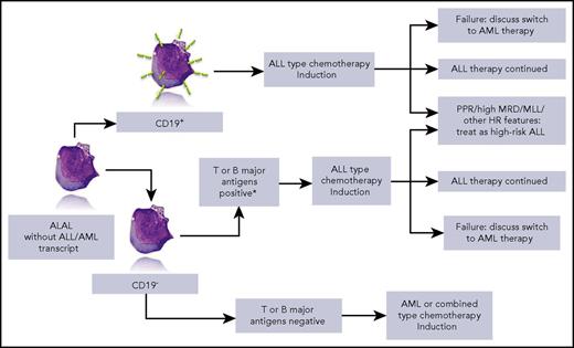 Simplified overview of the strategy that can be drawn from the data of Hrusak et al. HR, high risk; MLL, mixed-lineage leukemia; MRD, minimal residual disease; PPR, prednisone poor responder. *iCD3 and CD7+ or ≥2 of CD10, ICD79a, or iCD22+. Lymphoblast picture by courtesy of Isabelle Sudaka, Hematology Laboratory, CHU de Nice, France.