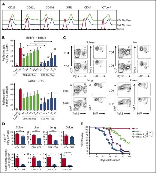 Figure 1. Alloantigen-induced CD8+ Tregs are less potent than CD4+ Tregs for the suppression of GVHD. (A) Sorted CD4+EGFP─ and CD8+EGFP─ T cells (1 × 105) from Foxp3EGFP mice were cultured with Balb/c CD11c+ dendritic cells (5 × 104) in the presence of all-trans retinoic acid (10 nM), IL-2 (100 U/mL), and TGF-β (10 ng/mL) for 5 days. Representative histogram depicting cell surface expression of CD25, CD62L, CD103, GITR, CD44, and CTLA-4 on in vitro-differentiated alloantigen-induced CD4+ and CD8+ Tregs vs staining with an isotype control antibody. (B) Purified B6.PL Thy1.1+ T cells (1 × 105) were cultured with Balb/c CD11c+ dendritic cells (5 × 104) in the presence of varying ratios of Thy1.2+ CD4+ Tregs (green bars), or CD8+ Tregs (blue bars) that were generated against either Balb/c (Balb/c→ Bab/c) or FVB (Balb/c→FVB) dendritic cells after 5 days in culture. Control wells are depicted as red bars. Data are presented as the mean percentage of triplicate wells of proliferating Thy1.1+ T cells ± 1 SD and represent cumulative results of 3 to 6 experiments. (C-D) Lethally irradiated Balb/c mice were transplanted with B6.PL BM and spleen cells (adjusted to yield a T-cell dose of 0.6 × 106 αβ T cells). Cohorts of animals then received an equivalent number of CD4+ or CD8+ in vitro-differentiated Thy1.2+ Tregs. Representative dot plots showing the percentage of H-2Kb+ Thy1.2+ CD4+ or CD8+ iTregs in the spleen, liver, lung, or colon of recipient mice 10 days posttransplantation are shown in (C). The absolute number and percentage of donor-derived CD4+ (red bars) and CD8+ (blue bars) Thy1.2+ EGFP+ T cells in the specified tissue sites on day 10 are depicted in (D). Data are from 8 to 12 mice per tissue from 3 experiments. (E) Lethally irradiated Balb/c mice were transplanted with 8 × 106 B6.PL (Thy1.1+) BM alone (red circles, n = 17) or together with spleen cells (adjusted to yield a dose of 0.6 × 106 αβ T cells). Animals transplanted with adjunctive spleen cells received no other cells (blue squares, n = 24), 0.6 × 106 in vitro-generated alloantigen-induced CD4+ Tregs (green triangles, n = 23), or 0.6 × 106 alloantigen-induced CD8+ Tregs (purple triangles, n = 25). Survival is shown. Data are the cumulative results of 5 experiments. *P < .05; **P < .01; ***P < .001; ****P < .0001.