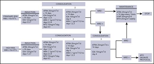 Figure 1. ICC-APL-01 study protocol design. 6-MP, 6-mercaptopurine; IDA, idarubicin; MTX, methotrexate; MTZ, mitoxantrone.