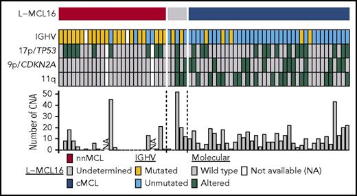 Figure 4. Molecular features of the 70 leukemic MCL samples in the validation cohort. Features are shown as rows, and samples are shown as columns. Samples are ordered according to the L-MCL16 score. IGHV mutations are in yellow, and 17p/TP53, 9p/CDKN2A, and 11q alterations are in green. The number of CNAs in each sample is shown in the bar graph.