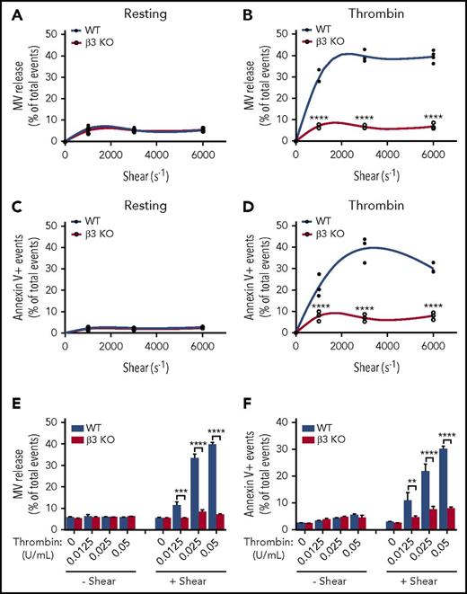 Figure 1. Thrombin-stimulated platelet MV release and PS exposure are shear dependent and require integrin αIIbβ3. (A) MV release in resting wild-type (WT) and β3 knockout (KO) mouse platelets under different shear rates as analyzed by flow cytometry. (B) MV release in 0.05 U/mL of thrombin-stimulated WT and β3 KO mouse platelets under different shear rates. (C) PS exposure on the surface of resting WT and β3 KO mouse platelets under different shear rates as indicated by annexin V binding. (D) PS exposure on the surface of 0.05 U/mL of thrombin-stimulated WT and β3 KO mouse platelets under different shear rates as indicated by annexin V binding. (E) MV release from WT and β3 KO mouse platelets stimulated with various doses of thrombin (0.0125, 0.025, and 0.05 U/mL) with or without shear (shear rate 3000 s−1). (F) PS exposure on the surfaces of WT and β3 KO mouse platelets stimulated with various doses of thrombin (0.0125, 0.025, and 0.05 U/mL) with or without flow shear. Data are presented as mean ± standard error of the mean (n = 3-4). **P < .01, ***P < .001, ****P < .0001.