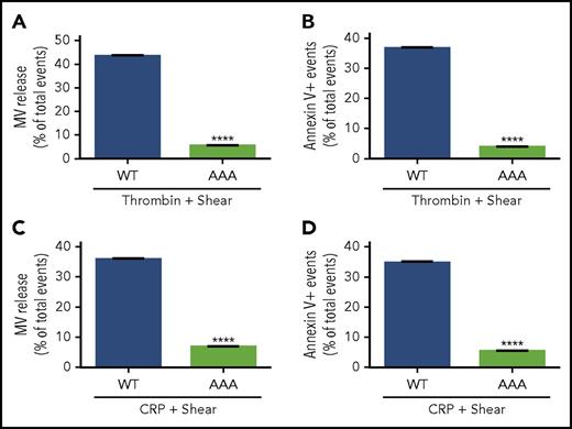 Figure 3. Comparison of wild-type (WT) and Gα13 binding–deficient mutant β3 in agonist and shear-dependent MV release and PS exposure. (A) MV release from 3000 s−1 of shear/0.05 U/mL of thrombin-stimulated β3−/− platelets expressing WT or AAA733-mutant β3 (Gα13 binding deficient) transplanted using bone marrow stem-cell transplantation technique. (B) PS exposure on platelets expressing WT or AAA733-mutant β3 treated with thrombin and shear. (C) MV release from platelets expressing WT or AAA733-mutant β3 treated with CRP (1 µg/mL) and shear. (D) PS exposure on platelets expressing WT or AAA733-mutant β3 treated with CRP and shear. Data are presented as mean ± standard error of the mean (n = 4). ****P < .0001.