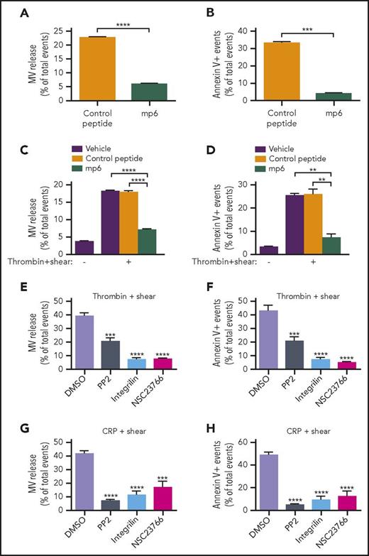Figure 4. Inhibition of shear-dependent platelet MV release and PS exposure in mouse and human platelets by mP6, a peptide inhibitor of Gα13-integrin interaction and outside-in signaling. (A) Effects of mP6 or a negative control peptide (AAA mutant, Myr-FAAARA) on MV release from mouse platelets stimulated by 0.05 U/mL of thrombin with shear of 3000 s−1 as analyzed by flow cytometry. (B) Effects of mP6 or a control peptide on PS exposure on mouse platelets stimulated by 0.05 U/mL of thrombin with shear of 3000 s−1 as indicated by annexin V binding. (C) Effects of mP6 or a control peptide on MV release from human platelets stimulated with 0.05 U/mL of thrombin with or without shear. (D) Effects of mP6 (40 µM) or a control peptide on PS exposure on human platelets stimulated with 0.05 U/mL of thrombin with or without shear. (E) MV release from thrombin- and shear-stimulated mouse platelets treated with dimethyl sulfoxide (DMSO; vehicle control), Src inhibitor PP2, integrin antagonist integrilin, or Rac1 inhibitor NSC23766. (F) PS exposure on thrombin- and shear-stimulated platelets treated with DMSO, PP2 (10 µM), integrilin (20 µg/mL), or NSC23766 (100 µM). (G) MV release from CRP- and shear-stimulated platelets treated with DMSO, PP2, integrilin, or NSC23766. (H) PS exposure on CRP- and shear-stimulated platelets treated with DMSO, PP2, integrilin, or NSC23766. Data are presented as mean ± standard error of the mean (n = 3-4). **P < .01, ***P < .001, and ****P < .0001.