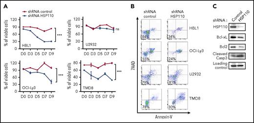 Figure 1. HSP110 expression has an impact on ABC-DLBCL cell survival. (A) Kinetics of cell survival determined by annexin-V/7-aminoactinomycin D (7AAD) staining on shRNA-expressing cells, data are presented as the mean ± standard deviation (n = 3). (B) Representative annexin-V/7AAD staining on shRNA-expressing cells determined at day 9. (C) Immunoblot analysis of HSP110, Bcl-xL, Bcl2, and cleaved caspase-3 (Casp3) at 48 hours after transfection of HBL1 with an shRNA targeting HSP110 or a control shRNA (n = 3). β-actin served as a loading control. ns, not significant. ***P < .001.
