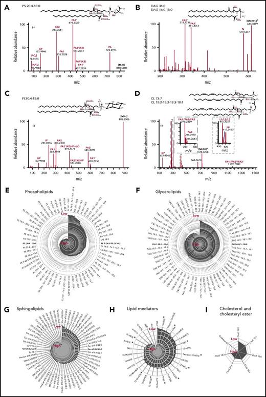Figure 2. Structural elucidation at the FA level of lipids in the main platelet lipid categories. (A-D) Molecular structural analysis of lipids by shotgun lipidomics at the precursor and fragment level. The different panels showing different MS2 spectra that are used for structural assessment by customized mfql search files, using the fully automated search engine LipidXplorer. Potential fragmentation mechanisms are shown above each panel. Annotated fragments are denoted in the chemical structure of individual species. (E-I) Radar plots displaying the relative intensity of lipid species in resting platelets. The lipid species are presented according to their specific categories, including phospholipids (PL), GL, SL, FA, and derivatives (LM), and cholesterol and derivatives (Chol). PLs and GLs were analyzed by shotgun lipidomics and Chol, SL, and LM were analyzed by targeted lipidomics. All species were analyzed at least in 4 different independent biological experiments. DAG, diacylglycerol; TAG, triacylglycerol.