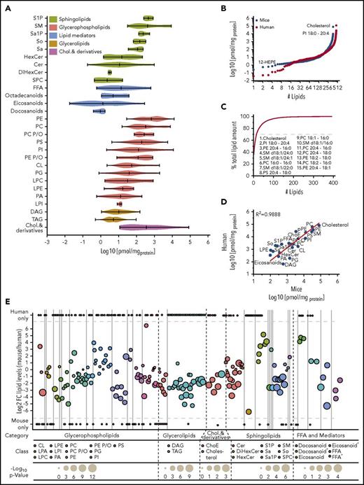 Figure 3. Unexpected dynamic range revealed through the quantitative assessment of the platelet lipidome. (A) Violin plot displaying the dynamic range of different lipid classes in a resting platelet. Each column assembles all of the quantified lipid species for 1 class. (B) Dynamic range of identified and quantified lipids species, covering 7 orders of magnitude in both human and mouse. (C) Fifteen lipids contribute 70% of the absolute lipid membrane mass of a resting platelet. (D) Correlation of presented mouse lipidome and human lipidome based on literature (supplemental Table 2) with R2 = 0.9888. (E) Quantitative comparison of the mouse and human lipidome in resting platelets at the lipid species level with a color-coding at lipid class level. All data are combined from at least 3 independent experiments, and mean values are shown.