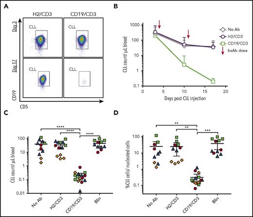 Figure 4. CD19/CD3-scFv-Fc eliminates CLL cells in patient-derived xenografts with once-weekly dosing. PBMCs from 4 treatment-naïve patients with E:T cell ratios of 1:50 to 1:181 were injected into NSG mice on experimental day 0. Cell engraftment was confirmed on day 3 by flow cytometry. Mice were then treated once weekly with either HER2/CD3-scFv-Fc, CD19/CD3-scFv-Fc, or blinatumomab; an untreated group was left for controls. Two to 5 mice were included for each patient and treatment group (n = 4 patients, n = 51 mice). (A) Representative flow cytometry analysis from the peripheral blood of mice treated with either HER2/CD3-scFv-Fc or CD19/CD3-scFv-Fc at experimental days 3 (top, pretreatment) and 17 (bottom, posttreatment). Gates show CD19+/CD5+ CLL population of live, CD45+, CD8−/CD4− cells. (B) Mean CLL cell count in the peripheral blood over time by treatment group. Arrows denote bsAb injections. (C) CLL cell count in the peripheral blood at experimental day 17. (D) CLL cell count in the spleen at experimental day 17. For panels C and D, each dot represents 1 animal; color code denotes patient source of xenografted cells and correlates with colors in supplemental Table 1. Mean and 95% CI are shown. Asterisks denote significance using unpaired Student t tests, taking into account the random batch effect from xenograft source. *P < .05; **P < .01; ***P < .001; ****P < .0001.