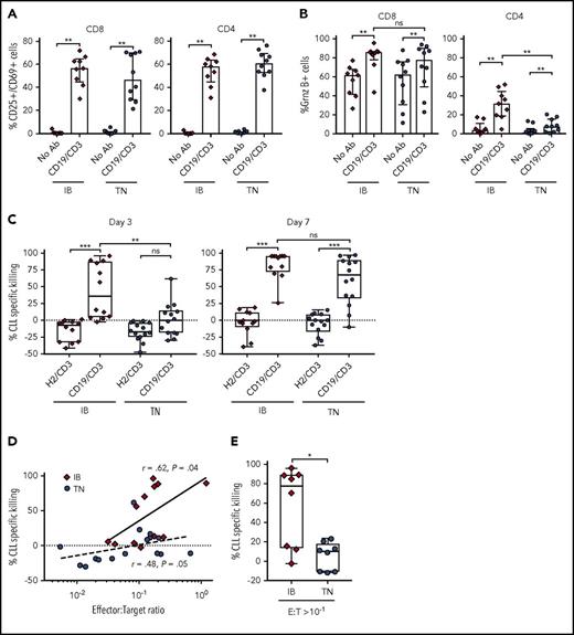 Figure 5. CD19/CD3-scFv-Fc demonstrates activity against CLL cells from ibrutinib-treated patients. PBMCs from patients receiving ibrutinib for 12 months and from treatment-naïve CLL patients were cultured with CD19/CD3-scFv-Fc, HER2/CD3-scFv-Fc, or medium alone. Percent CD25+/CD69+ cells (A); percent granzyme B+ cells (B), both after 48 hours (n = 9, ibrutinib-treated; n = 10, treatment-naïve). (C) CLL specific killing by treatment group after 3 and 7 days, respectively (n = 12, ibrutinib-treated; n = 14, treatment-naïve). The average (range) viability of medium-only control samples from ibrutinib treated patients was 65% (48% to 85%) on day 3 and 68% (49% to 84%) on day 7, and from treatment-naïve patients 65% (46% to 86%) on day 3 and 68% (52% to 89%) on day 7. (D) Spearman’s correlation between initial E:T ratios in PBMC samples used and CLL cell specific killing by CD19/CD3-scFv-Fc after 3 days in culture. Solid and dotted lines show regressions for ibrutinib-treated and treatment-naïve samples, respectively. (E) CLL specific killing at 3 days for samples with initial E:T ratios of >1:10 (n = 8, ibrutinib-treated; n = 8, treatment-naïve). Median and IQR are shown. Asterisks in panels A-C denote significance using Wilcoxon matched-pairs signed rank test for comparisons within cohorts or Mann-Whitney U test for comparisons across cohorts. Mann-Whitney U test was used for panel E. *P < .05; **P < .01; ***P < .001; ****P < .0001; ns, P > .05. IB, ibrutinib-treated; TN, treatment naïve.