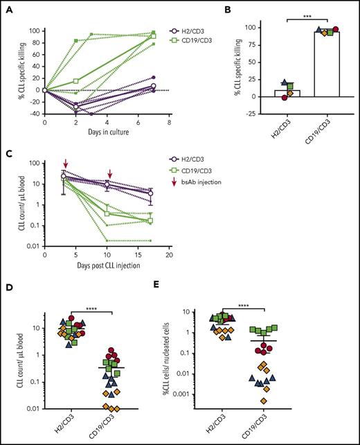 Figure 6. CD19/CD3-scFv-Fc eliminates ibrutinib-resistant CLL cells, both in vitro and in patient-derived xenografts in vivo. PBMCs from 4 CLL patients with acquired ibrutinib-resistance were treated with CD19/CD3-scFv-Fc or HER2/CD3-scFv-Fc, either in culture (A-B) or after transfer into NSG mice (C-E). (A) CLL cell specific killing in culture over time. Bold lines indicate mean killing of 4 ibrutinib-resistant samples by treatment group; dashed lines indicate killing for each sample. (B) In vitro CLL cell specific killing for each ibrutinib-resistant patient at the end of culture. Medium-only control samples had average (range) CLL viability of 68% (52% to 78%). Asterisks indicate results of a paired Student t test; mean and 95% CIs are shown. (C) Once-weekly treatment with CD19/CD3-scFv-Fc or HER2/CD3-scFv-Fc was initiated 3 days after PBMC transfer into NSG mice. CLL counts in the peripheral blood are shown, where dashed lines indicate mean CLL counts by treatment of each xenograft source used and bold lines indicate the mean of all mice in the same treatment group (n = 4 patients; n = 37 mice). (D) CLL counts in the peripheral blood at experimental day 10. (E) CLL counts in the spleen at experimental day 17. Dots in panels D-E represent 1 animal, colors in panels B and D-E indicate patient source of xenografted cells and correspond to colors in supplemental Table 2. Mean and 95% CI are shown. Asterisks denote significance using unpaired Student t tests, taking into account the random batch effect from xenograft source. *P < .05; **P < .01; ***P < .001; ****P < .0001.