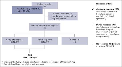 Figure 1. Flowchart of patients enrolled. Response was evaluated at 3 months after treatment start. Hgb, hemoglobin; ORR, overall response rate.