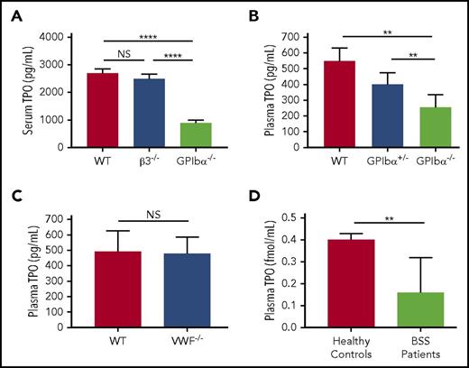 Figure 1. Plasma/serum TPO levels are decreased in GPIbα-deficient mice and human BSS patients. (A) ELISA of serum TPO levels (1:10 dilution) in WT, GPIbα−/−, and β3−/− mice (all on BALB/c background; n = 6-10). ELISA of plasma TPO levels (1:2 dilution) in WT, GPIbα−/−, and heterozygous (GPIbα+/−) mice on BALB/c background (n = 6-10) (B) and WT and VWF−/− mice on C57BL/6J background (n = 3) (C). (D) ELISA-determined plasma TPO concentration in BSS patients (n = 7) and healthy donors (n = 99). **P < .01, ****P < .0001. NS, not significant.