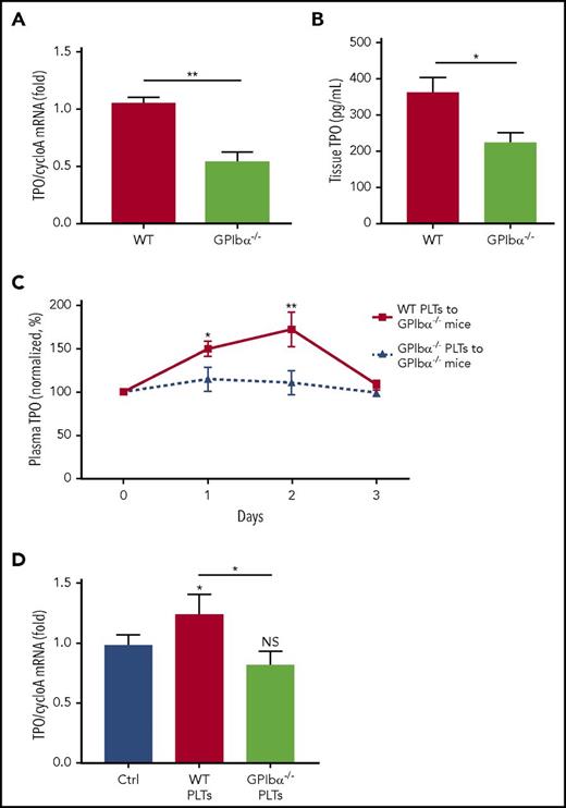 Figure 3. GPIbα deficiency leads to a significant decrease in platelet-mediated hepatic TPO generation. TPO mRNA was measured via RT-qPCR (A) and TPO protein was measured by ELISA (B) (n = 6-10) in WT BALB/c and GPIbα−/− hepatic tissue lysates. (C) Plasma TPO levels were measured by ELISA at the indicated time points following transfusion of 2.5 × 108 WT BALB/c or GPIbα−/− platelets into GPIbα−/− recipient mice. Values are normalized to TPO levels on day 0 (100%) (n = 6-12). (D) TPO mRNA levels in liver of GPIbα−/− mice, as measured by RT-qPCR, 24 hours following transfusion of 2.5 × 108 platelets (n = 5). *P < .05, **P < .01. NS, not significant.