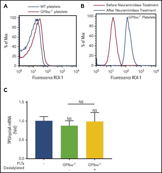 Figure 4. Desialylated GPIbα−/− platelets cannot rescue hepatic TPO generation in vivo. Representative line graphs of baseline desialylation levels of WT and GPIbα−/− platelets (A) and desialylation of GPIbα−/− platelets before and after neuraminidase treatment (B), as determined by fluorescein-conjugated RCA-1 binding. (C) WT mice were transfused with 2.5 × 108 desialylated or control GPIbα−/− platelets. Livers were harvested 24 hours posttransfusion, and TPO mRNA was quantified by RT-qPCR. n = 3. NS, not significant.