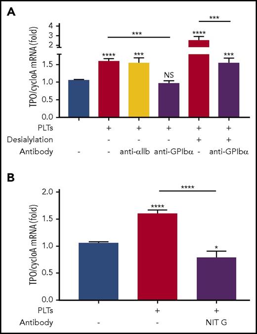 Figure 7. Anti-GPIbα antibodies block platelet-mediated hepatocyte TPO generation. (A-B) Platelets from BALB/c WT mice were incubated with FL83B cells for 24 hours, after which FL83B cellular TPO mRNA expression was measured by RT-qPCR. In some instances, as indicated, platelets were desialylated with neuraminidase. Purified anti-GPIbα (2 µg/mL) or control anti-αIIb polyclonal IgG (2 µg/mL) (A) or monoclonal anti-GPIbα antibody NIT G (1 µg/mL) (B) was added as indicated, n = 3 (in duplicate). *P < .05, ***P < .001, ****P < .0001. NS, not significant.