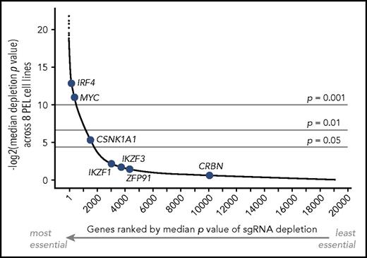 Figure 1. Essentiality of IMiD effectors across PEL cell lines. Median significance of essentiality of all genes screened by the Brunello sgRNA library across 8 PEL cell lines. Genes are ranked using median P value scores. The position of genes that have been implicated in IMiD action is indicated in blue, including the IMiD target CRBN, neosubstrates IKZF1, IKZF3, CSNK1A1, and ZFP91, and downstream effectors IRF4 and MYC. Only IRF4, MYC, and CSNK1A1 score as essential across PEL cell lines.