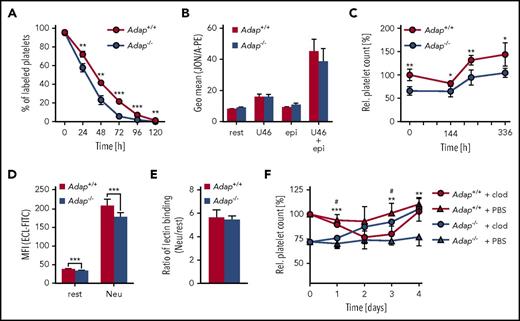 Figure 2. Reduced platelet life span in Adap−/−mice. (A) Platelet life span was analyzed by injection of a Dylight488 anti−GPIX antibody and the fluorescently labeled platelet population was measured over 5 days by flow cytometry. (B) αIIbβ3 integrin activation was analyzed by JON/A-PE binding under resting (rest) conditions and upon stimulation with 1 µM U46619 (U46; thromboxane analog), 10 µM epinephrine (epi) alone and in combination. Relative platelet count was determined after (C) splenectomy or (F) macrophage depletion by flow cytometry. *Significance between the control groups; #significance between the macrophage depletion groups. (D) Desialylation of Adap+/+ and Adap−/− platelets in washed blood was determined with fluorescein isothiocyanate (FITC)-labeled ECL binding by flow cytometry. Platelets were treated with neuraminidase (Neu) or untreated (rest). (E) Ratio of lectin binding between neuraminidase treated and untreated samples. (A-F) Values are mean ± SD (at least n = 5). ***P < .001; **P < .01; */#P < .05.